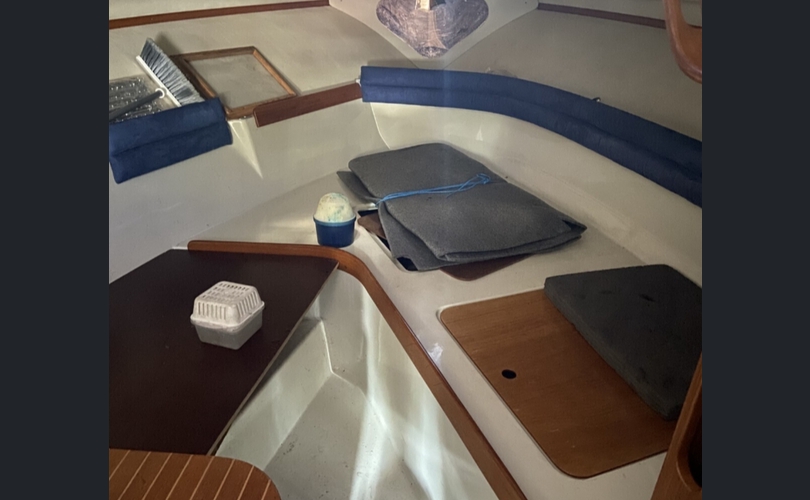 SeaStar 700 Cobra-kuva-6